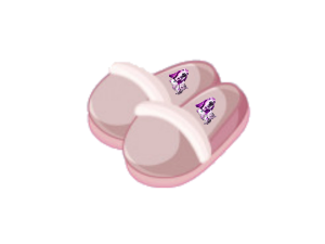 a pair of slippers